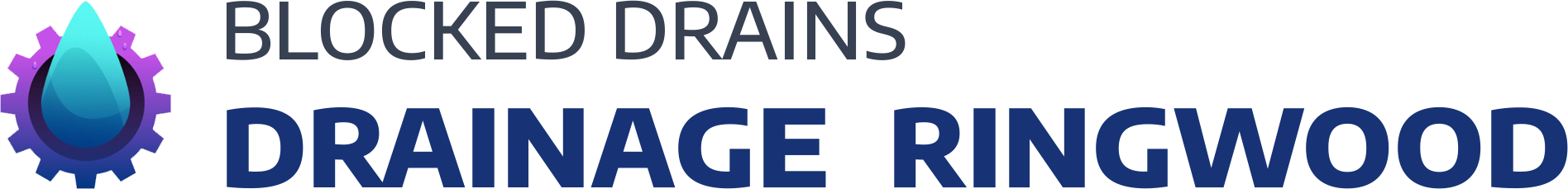 website logo